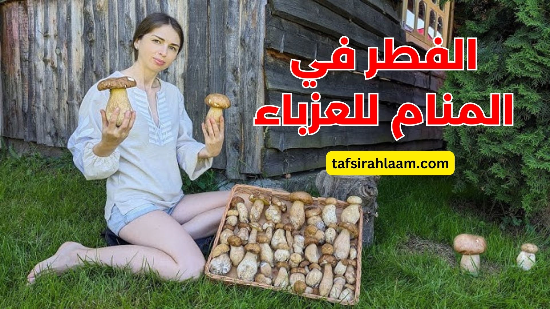 الفطر في المنام للعزباء